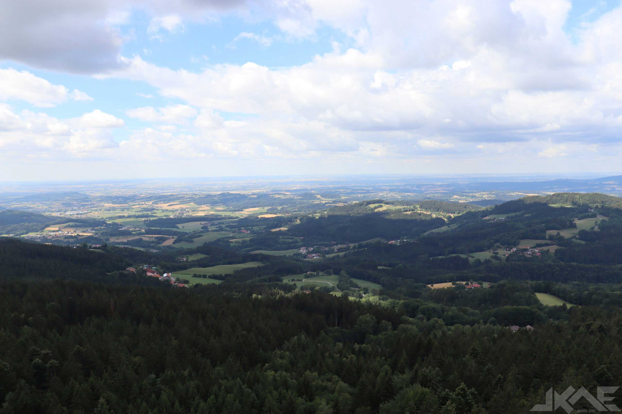 Bavaria Wood